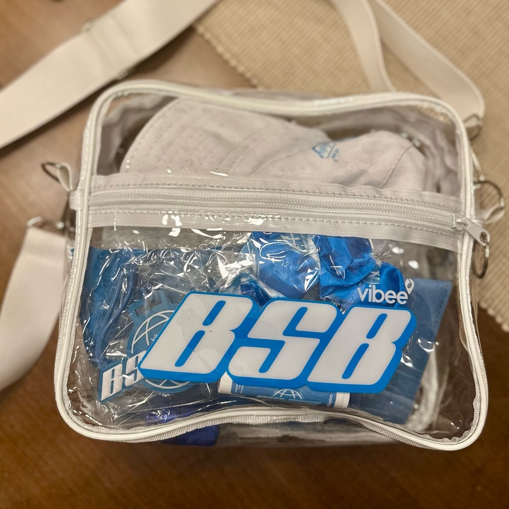 Backstreet Boys Into the Millennium VIP Swag Bag | New BSB Merch Collectible